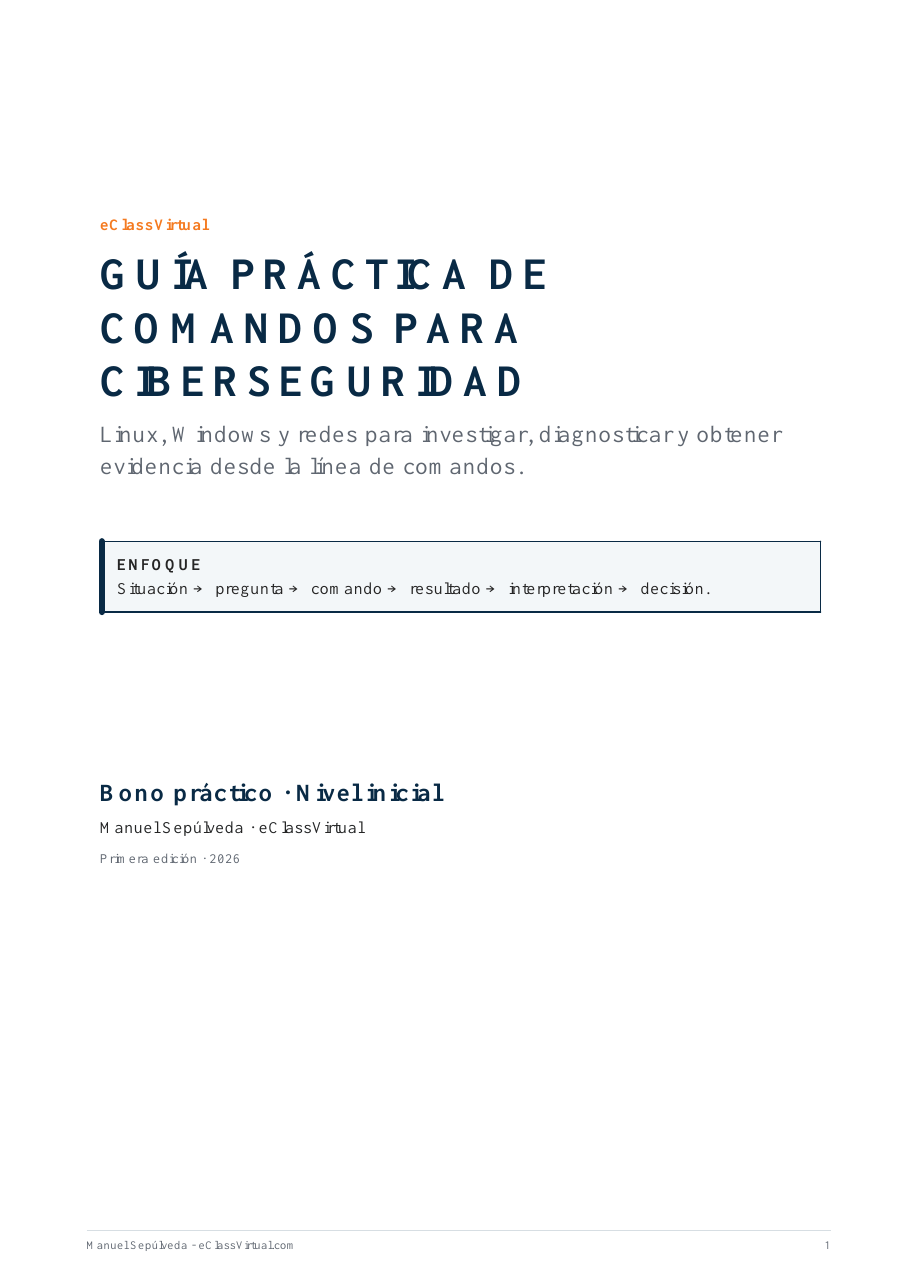 BONO 2 - Checklist Profesional Diagnostico Redes